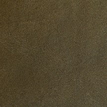 Standard Spruce Leather - Black Label & Platinum